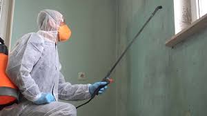 Biohazard Mold Removal in Cape Girardeau, MO